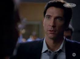 The BEST episodes of The Practice season 5