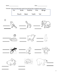 Review body parts and numbers. 377 Free Appearance Body Parts Worksheets