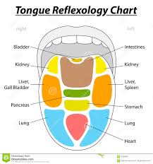 Tongue Reflexology Chart Stock Illustration Illustration Of