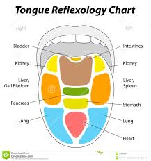 tongue reflexology chart stock illustration illustration of