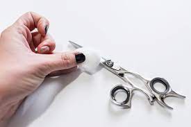 Shear Maintenance How To Oil And Care For Your Shears