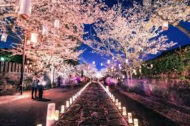 Viewing Japan S Cherry Trees In Bloom An Otherworldly Experiance Festivals Around The World World Most Beautiful Place Cherry Blossom Festival