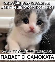 JoyReactor - смешные картинки и другие приколы: комиксы, гиф анимация,  видео, лучший интеллектуальный юмор.