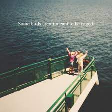 And the part of you that knows it was wrong to imprison them in the first place rejoices, but still, the place where you live is that much more drab and empty for their departure. 8tracks Radio Some Birds Aren T Meant To Be Caged 33 Songs Free And Music Playlist