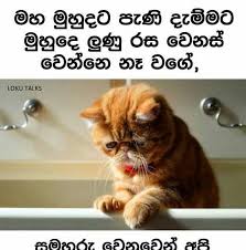 Sourced from reddit, twitter, and beyond! Sad Sinhala Friendship Wadan Images Canvas Jelly