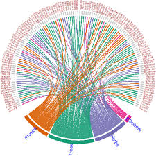 Image result for Rhynchosia kilimandscharica