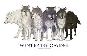 Game Of Thrones Ghost House 2853292 1111x719 Jpg 1111 719 Game Of Thrones Ghost Game Of Thrones Wolves Game Of Thrones Art