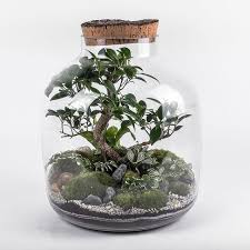 Mhouse cl20 manual unixpaint mini serremini serre dappartementmini. Terrariums Decouvrez Ces Mini Serres Ultra Deco Elle Decoration