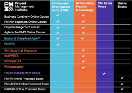 She had been an active chapter volunteer and leader since her pmp certification in 2004. Project Management Institute Offers Free Digital Courses To Help Professionals Build Skills To Advance In A Post Covid 19 World Aetoswire