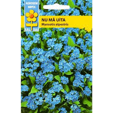 Seminte Flori Nu Ma Uita Myosotis Alpestris Indigo Compacta Blue Seminte Flori Bienale Perene Ferma Gradina Ro