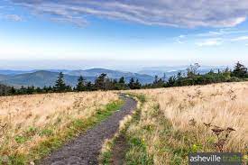 Appalachian Trail In North Carolina Our Favorite Hikes Appalachian Trail Appalachian Trail Hiking Asheville Hikes