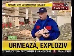 Statia petrom 1 campulung arges; Cultivat In Romania Proiect Romano Danez Ferma De Reproductie De Porci Danbred Arges Youtube