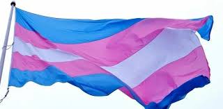 This past year, the transgender community saw huge wins in the entertainment industry in multiple ways, such as the release of the disclosure documentary and elliot page's. Dmlzhua2jgpoum