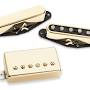Profile Picture of Seymour Duncan Lari Basilio Signature Pickups (@seymourduncan.com) on Google