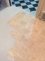 That is completed through thoroughly sweeping or vacuuming the usage of the hard floor placing. Pin On Paint And Such