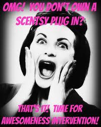 Scentsy Independent Consultant