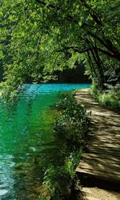 Check spelling or type a new query. Nature Gifs Tenor