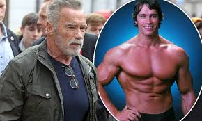 Maybe you would like to learn more about one of these? Arnold Schwarzenegger Net Worth In Indian Rupees