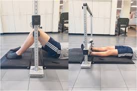 Image result for Lever Test