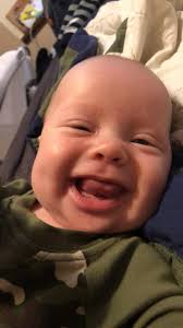 Cute dog takes selfies