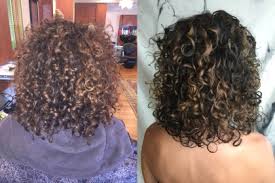 Blonde hair is more sensitive to sun and heat exposure which can cause damage. Perfect Pintura Highlights For Fall Devacurl Blog
