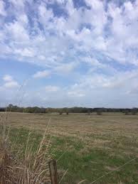 Search 129 homes for sale in greenville, tx at a median list price of $190k. Greenville Texas Development Land For Sale Laughlin Commercial Realty Group