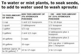 Using H2o2 As A Fungicide For Seedlings The