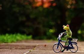 A delightfully fanciful garden decoration with a unique spin when the wind blows. Frog On Bicycle Frog Bike Funny Cute Sweet Figure Drive Bicycle Animal Pxfuel