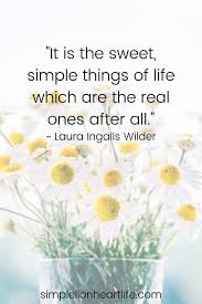 [be grateful for the simple things in life. 25 Simple Living Quotes To Inspire You To Declutter Simplify Your Life Simple Lionheart Life