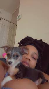 Lost Dog in Parkville 21234 Area