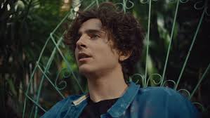 Call Me with Timothée Chalamet