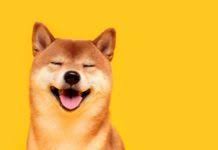 ✅ wie und wo dogecoin wie dogecoin kaufen 2021? Wie Kaufe Ich Dogecoin In 3 Schritten Doge Kaufen So Geht S