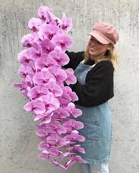 Flower Bowl Geelong En Instagram How Spectacular We Can T Stop Looking At These Babies Just Wow In 2020