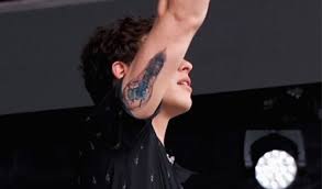 A Nova Tatuagem De Shawn Mendes Tem Tu Do A Ver Com Illuminate Todateen A post shared by shawn mendes (@shawnmendes).