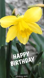 Schedule for a future date and time or send your free birthday ecard right away by text or email. Yellow Flower Birthday Gif Message