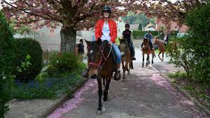Martin legros publié le 27 avril 2016 2 min. Une Journee D Initiationa L Equitation Adaptee Aux Malade De La Sclerose En Plaque A Givonne