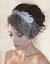 Birdcage Wedding Veils