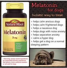 Pin On Home Remedies