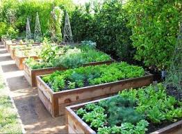 Raised Beds With Paths And Copper Tape To Repel Slugs Vegetable Garden Design Beautiful Raised Garden Beds Diy Raised Garden