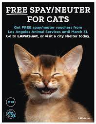 A free spay and neuter program is the only key solution to reduce the number of unwanted animals needlessly killed and born into a society that does not care. Peta On Twitter Free Spay And Neuter In La Spaying Neutering Your Cats Not Only Helps The Animal Overpopulation Crisis But It Could Prevent Cancer Get Free Spayandneuter Vouchers From Los