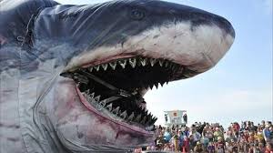 The Biggest Animal In The World 2017 Giant Animals Video Dengan Gambar