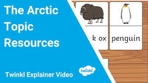 Polar Regions Arctic Animals Activities Early Years
