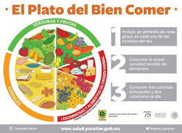 Consiste en un gráfico donde se representan y resumen estos criterios, dirigidos a brindar a la población opciones prácticas, con respaldo científico, para tener una alimentación correcta que pueda adecuarse a sus necesidades y posibilidades. Como Debe Ser El Plato Del Buen Comer Para Alimentarse Bien