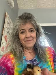 Megan Rawlinson's Instagram, Twitter & Facebook