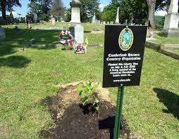 Get reviews, hours, directions, coupons and more for st peter cemetery at 127 church st, westernport, md 21562. Allegany County Coalition To Protect Maryland Burial Sites