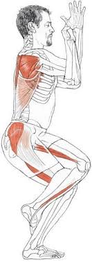 Yoga Anatomy Yoga Garudasana Eagle Pose Benefits Loosens And Strengthens Ankles And Hips Loosens Wrists And Shoulders Eagle Pose Yoga Anatomy Basic Yoga
