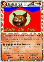 Quel est le nom de chat domestique d'etoile de feu ? Espace Membre Creation Etoile De Feu Carte De La Guerre Des Clans