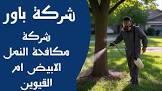 مؤسسة بور مكافحة