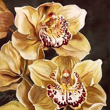 Cymbidium Orchid Orchids Painting Orchid Drawing Watercolor Flowers