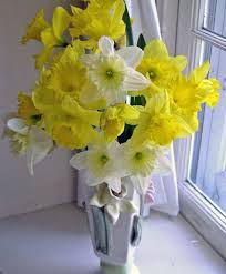 10 Year Anniversary Flower Daffadils Anniversary Flowers Spring Flowers Daffodils